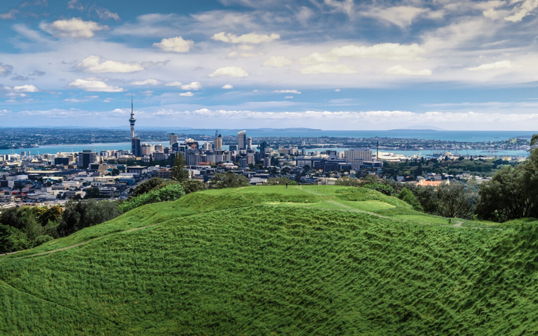 CLC PR: ERP marks zero carbon milestone for NZ – Now we must deliver it together