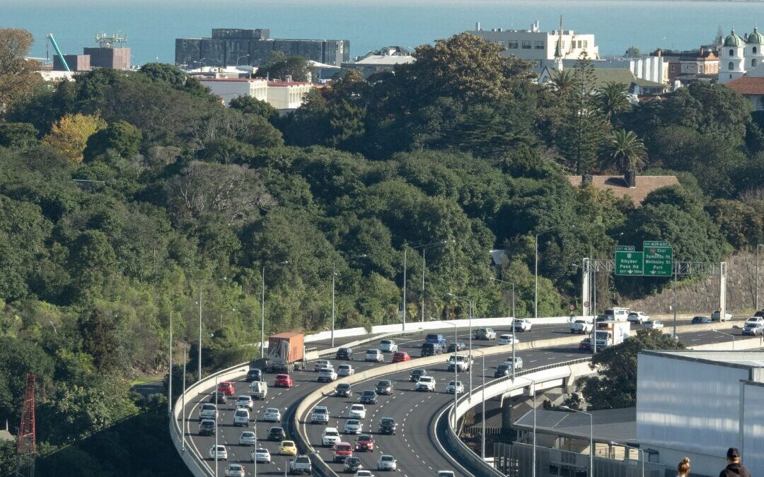 Business leaders quantify major sustainable growth opportunity for New Zealand economy